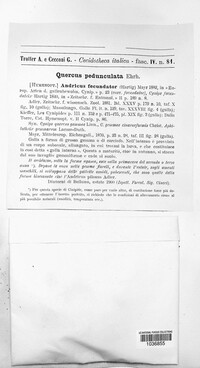 Image Associated With the Occurence